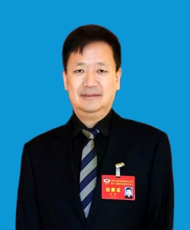 【圆桌嘉宾-对外宣传】刘骏 日联科技集团股份有限公司董事长